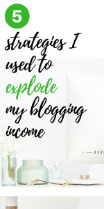 #Increase your #Blogging #Income with these 5 Strategies I used to go from $200/year to $50k/year! Click through for more on how to make #money with your #blog. #bloggingtips